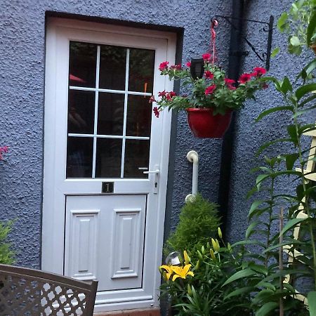 בלפסט Mountroyal Victorian Studio Self Catering Apartment 3 מראה חיצוני תמונה